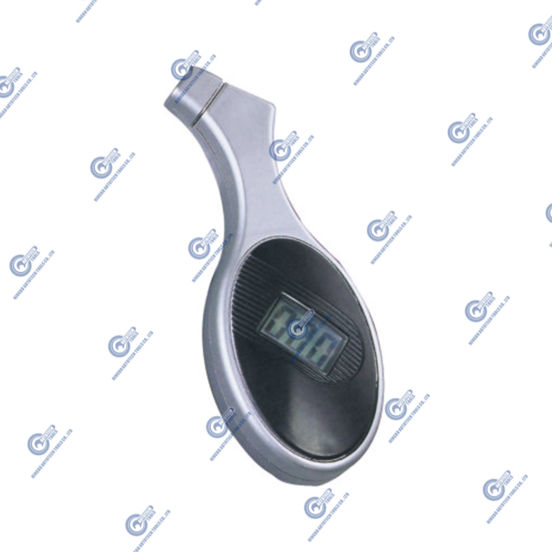 Máy đo lốp kỹ thuật số DTG-04 (5-100 psi)